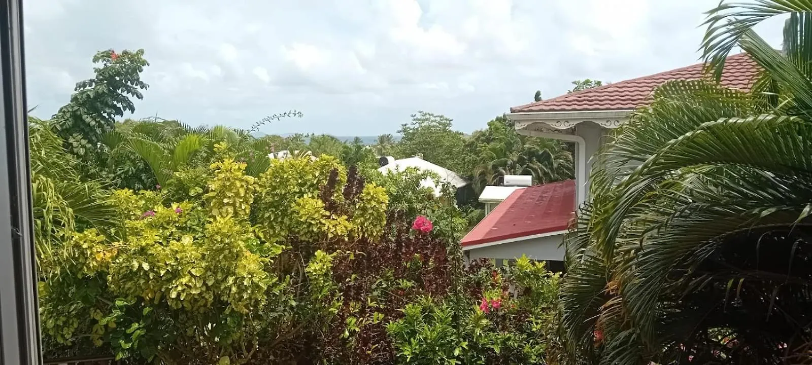 L'Oasis De L'Anse Bleue Appartement Le Diamant Martinique